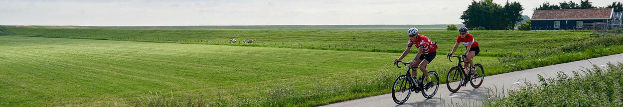 Fietsers in weids landschap