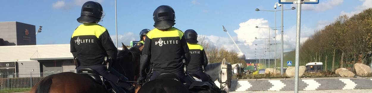 Bereden politie