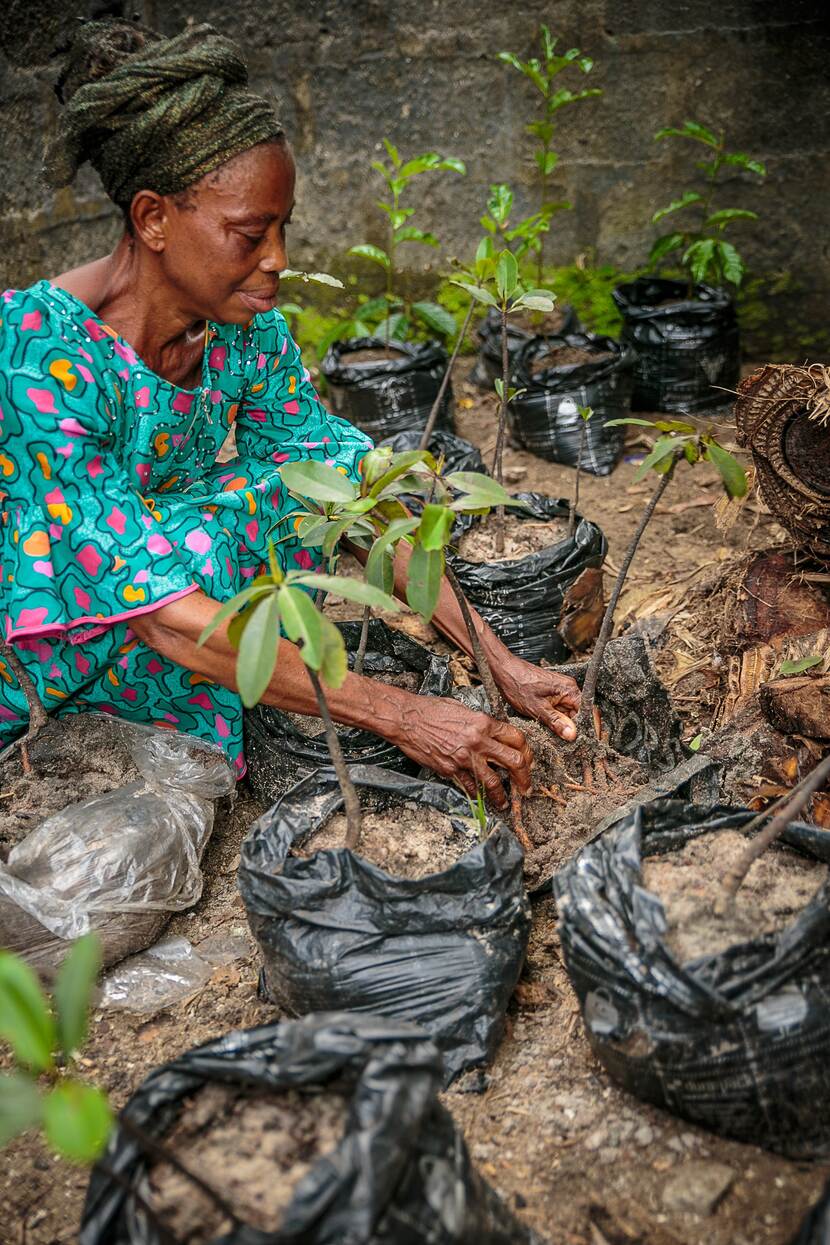 Niger Delta