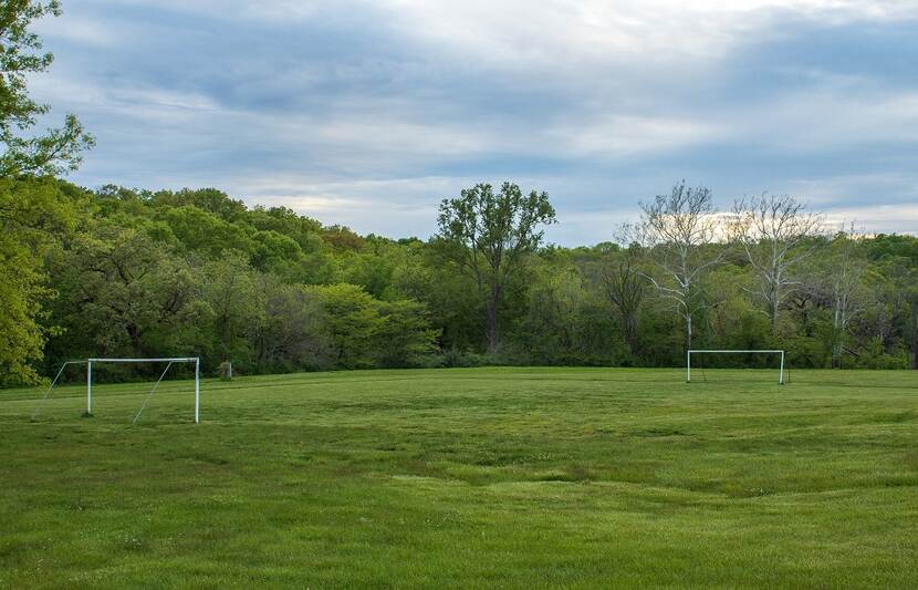 Groen sportveld