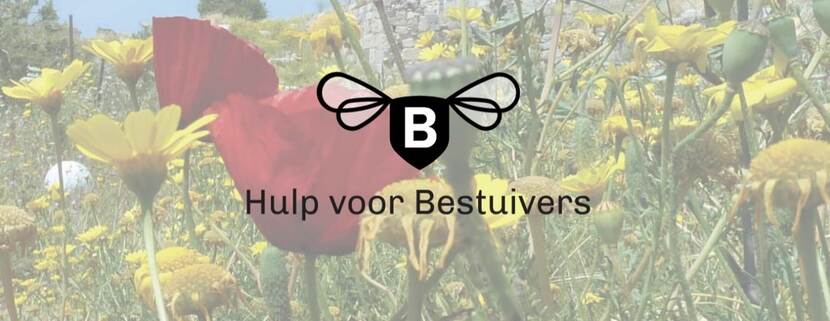 Header website hulp voor Bestuivers